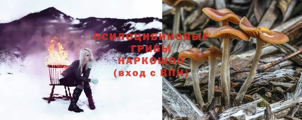 мескалин Арсеньев