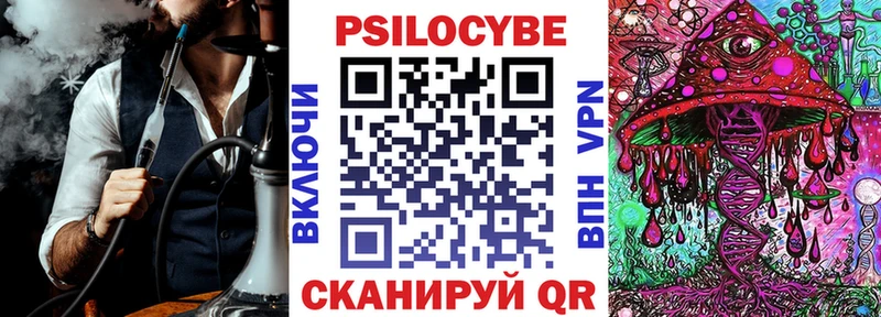 как найти наркотики  Торопец  Галлюциногенные грибы Psilocybine cubensis 