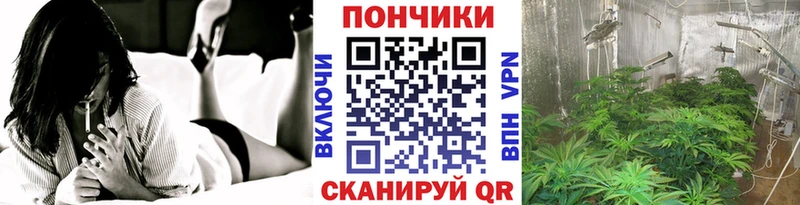 kraken ТОР  Торопец  Конопля Amnesia  купить наркоту 